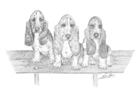 Trusty Trio created by Redfern Originals